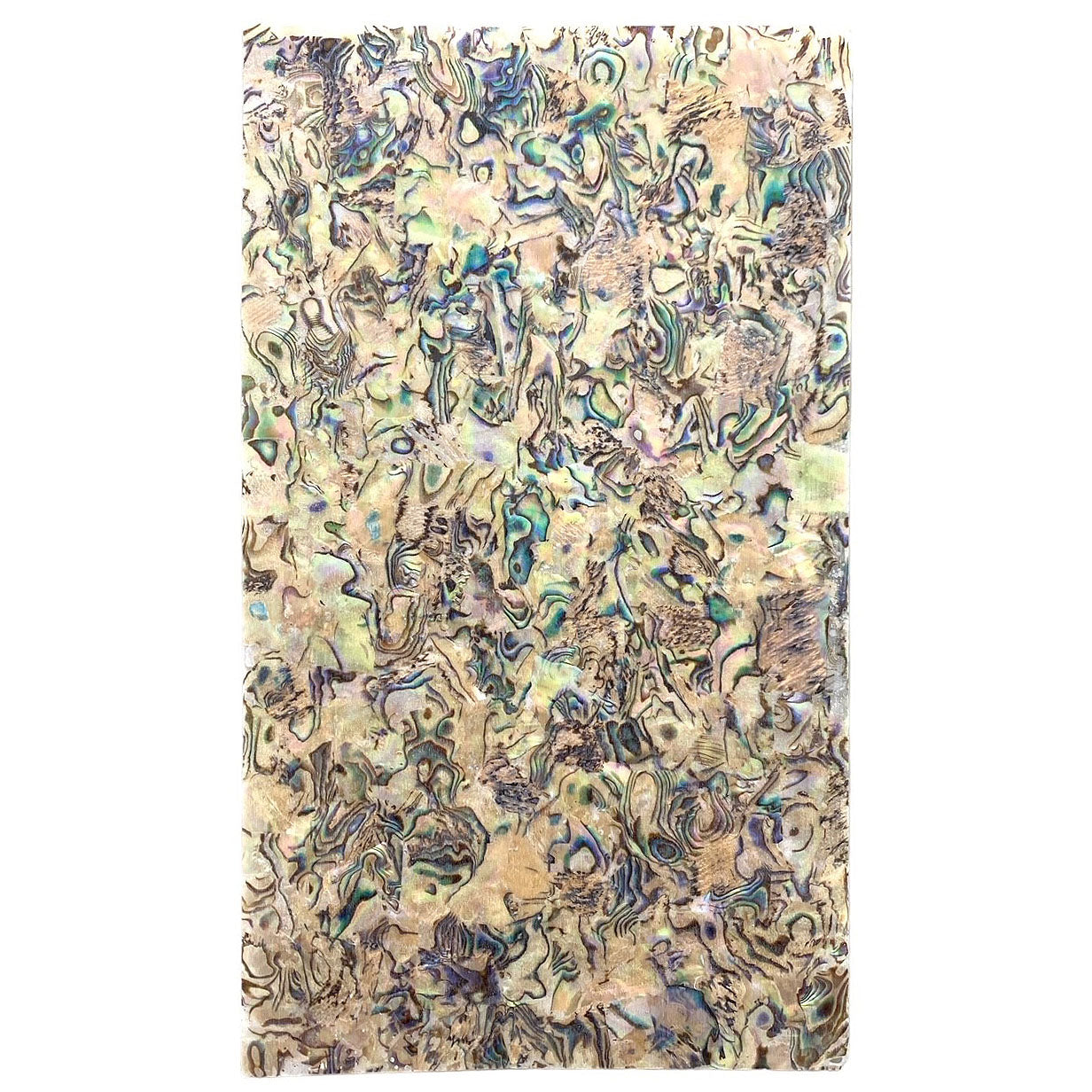 Natural Green ABALONE - LAMINATE SHEET - 9.5 x 5.5 inch - Some Flex - Lacquer to intense color - NEW424