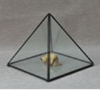 Triangle Glass Terrarium 15 x 15 x 15 cm