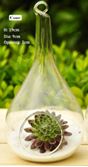Large Blown Glass Teardrop Terrarium  9 x 19.5 cm