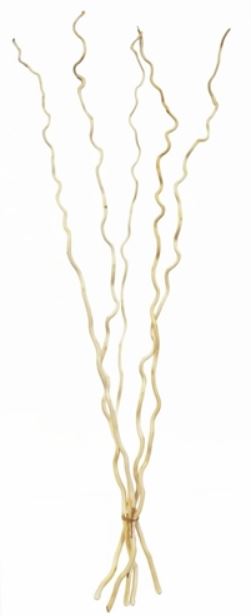 Corkscrew Willow Decor