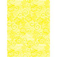 FRENCH LACE - DAFFODIL - CELLO WRAP - 24 x 100 roll