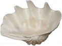 Large Fiberglass Gigis Clam - 38 x 23 x 17 inches Deep
