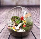 Blown Glass Bevel Connection Bottle Terrarium 20 cm / 8 inch