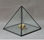 Triangle Glass Terrarium 15 x 15 x 15 cm