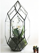 Black Tower Glass Terrarium 16.5 x 15 x 28 cm / 11 inch