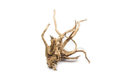 Spiderwood Driftwood 8-10"