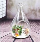 Blown Glass Teardrop Terrarium 5 inch