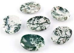 Tree Agate Worry Stones - 35-38mm Long - Pack of 6 - India