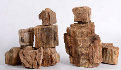 Petrified Wood Stone 35LB Assorted sizes