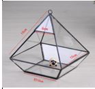 Pyramid Container Glass Terrarium Small 15 x 15 x 17 cm / 6 x 6 x 6.5 ...