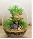 Blown Glass Egg Shape Terrarium 12 x 16 cm