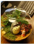 Blown Glass Fish Bowl Terrarium with Lid