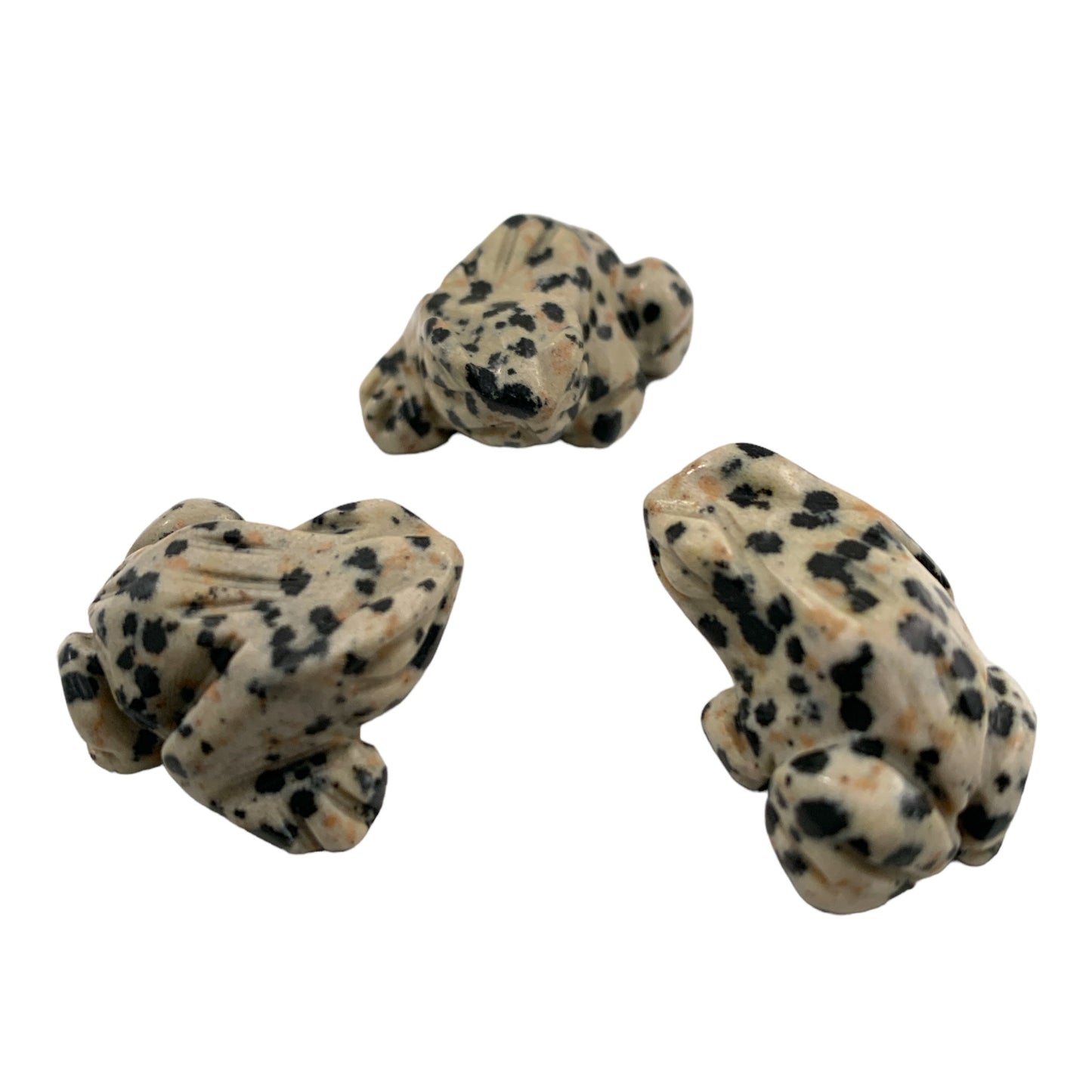Baby Frog - Dalmatian Jasper - 1 inch - Price Each - NEW922