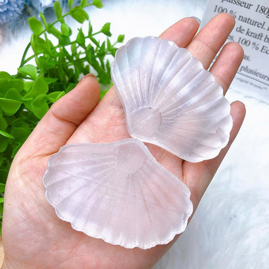 Clam Shell Bowl Small - Selenite - cm - China - NEW922