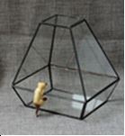 Black Rectangular Glass Terrarium 15 x 13 x 15.5 cm / 6 x 5 x 6 inch